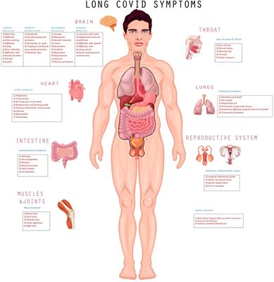 Role of Tau protein in long COVID and potential therapeutic targets